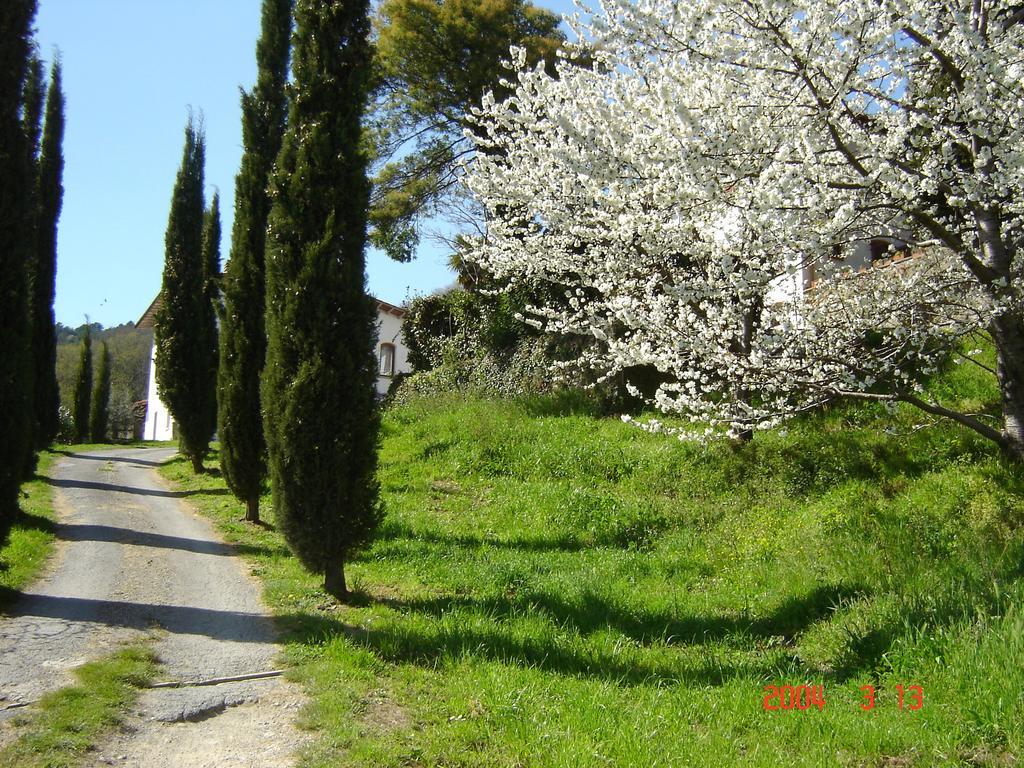 Podere"Sulle Soglie Del Bosco" Appartament And Rooms Пеша Экстерьер фото